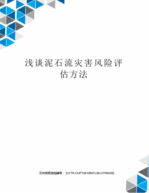 浅谈泥石流灾害风险评估方法