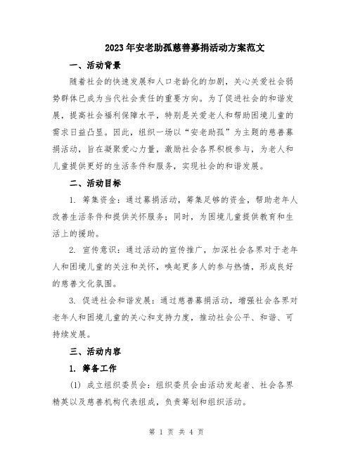 2023年安老助孤慈善募捐活动方案范文