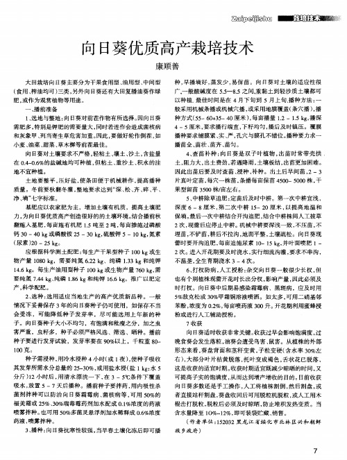 向日葵优质高产栽培技术