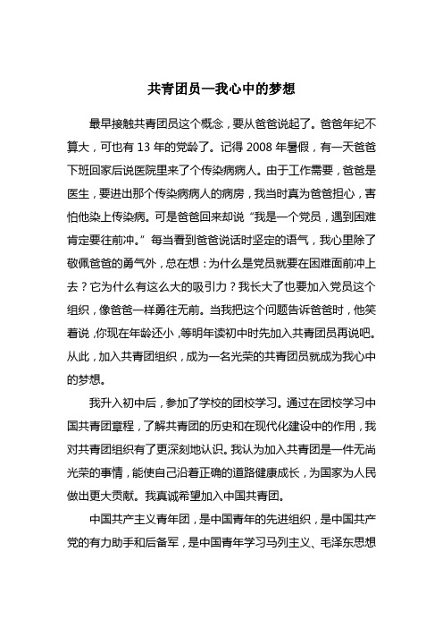 共青团员—我心中的梦想