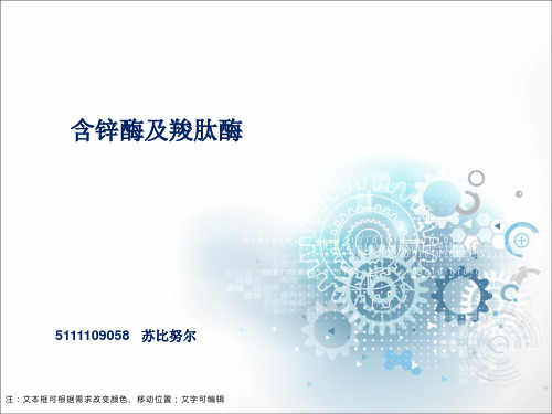 含锌酶pdf