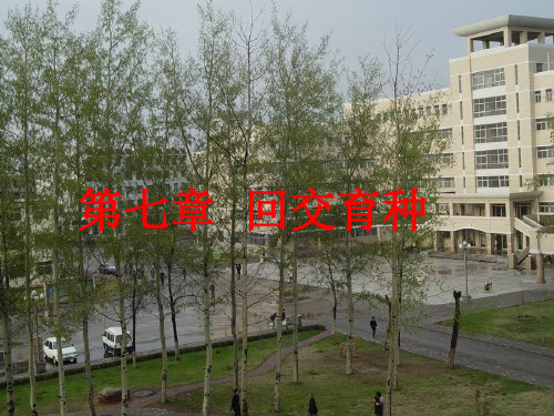 回交育种