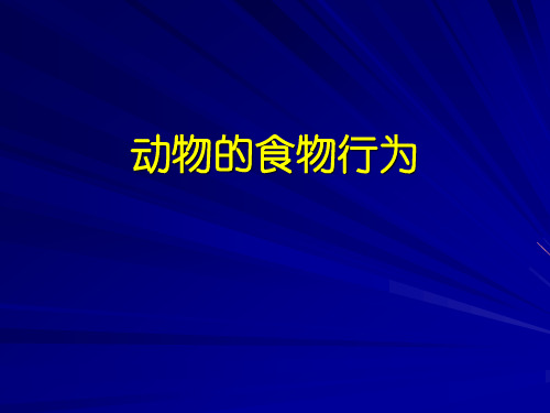 12.13次 动物的觅食行为