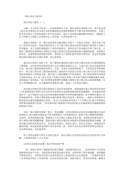 统计局实习报告6篇