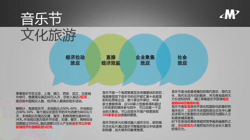草莓音乐节相关数据.pptx