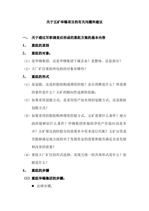 关于五矿华锡项目的有关问题和建议.doc