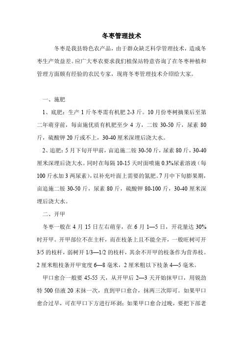 冬枣管理技术.doc