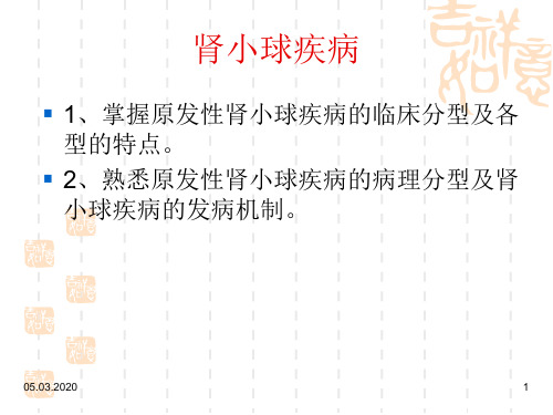 肾小球疾病 教学 