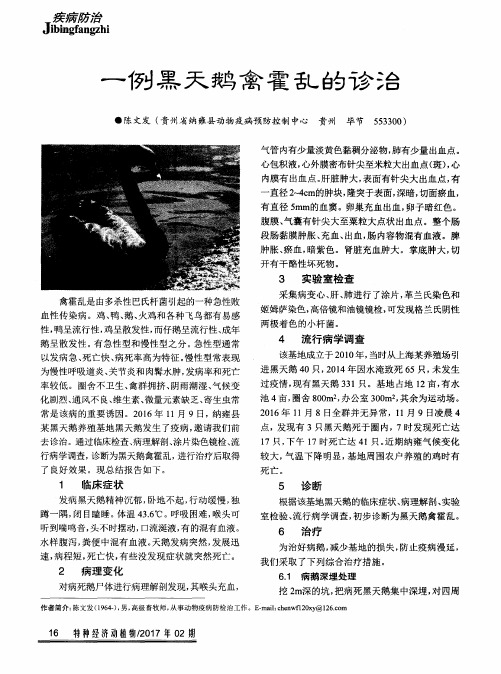 一例黑天鹅禽霍乱的诊治