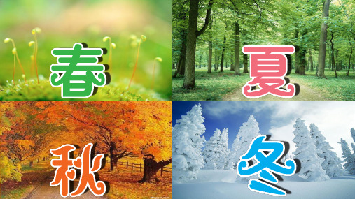 (四下)科学PPT课件23 四季更替 青岛版(五四制) (14张)