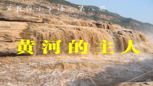 苏教小学语文四年级下册《23黄河的主人》PPT课件 (6)