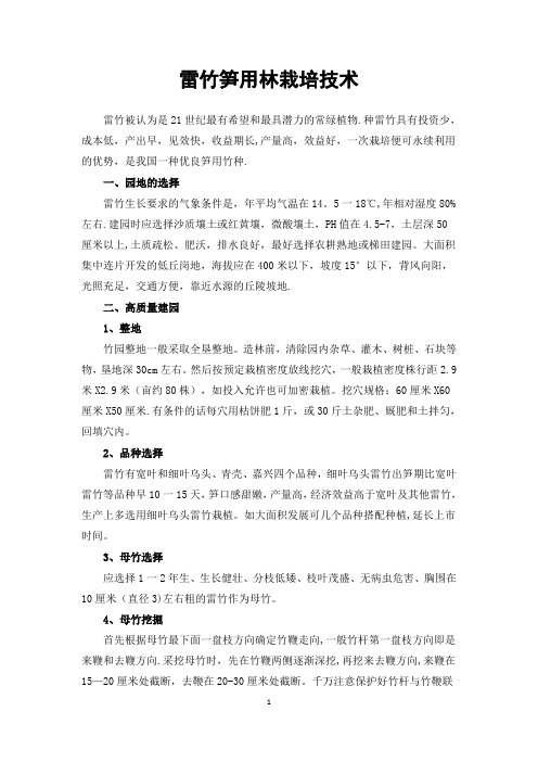 雷竹笋用林种植技术