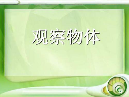 《观察物体》PPT课件11 (共31张PPT)