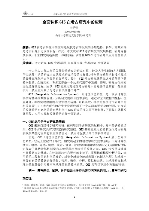 全面认识GIS在考古研究中的应用