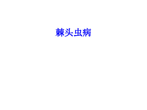 棘头虫病
