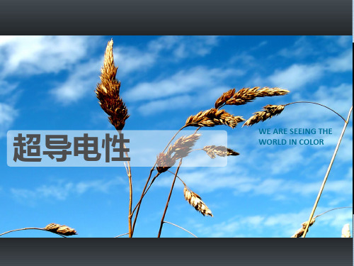 物理前沿-超导电性