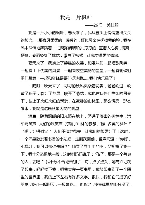 26我是一片枫叶