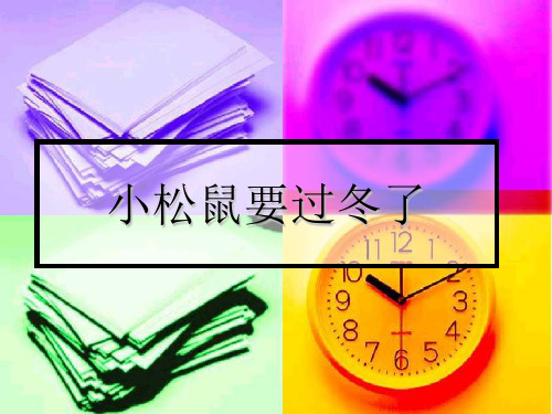 小松鼠过冬了