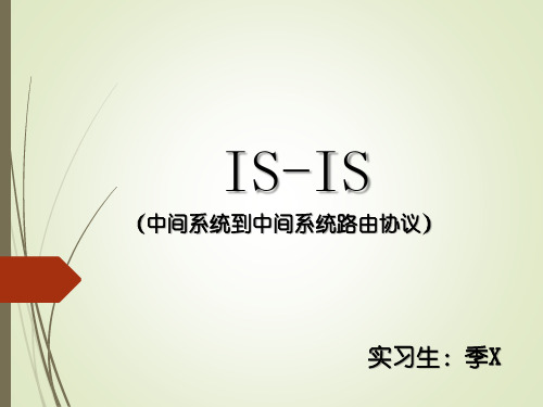 IS-IS协议(新)
