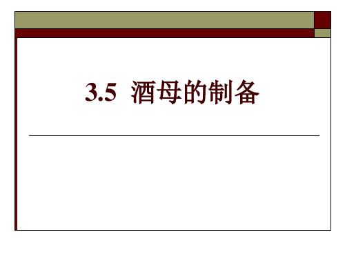 酒精技术31酒母