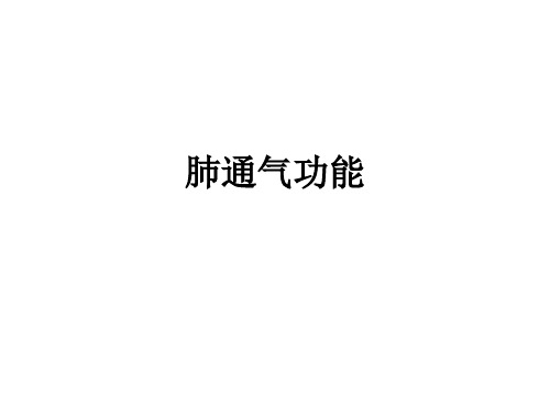 肺通气功能ppt课件