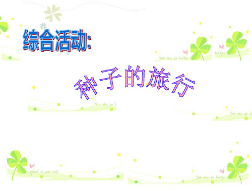 幼儿园大班科学常识PPT课件：种子的旅行