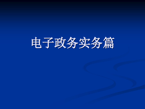 电子政务实务篇