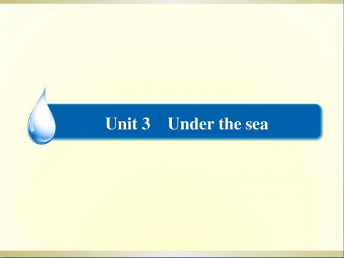 高考英语一轮复习 Unit 3 Under the sea课件 新人教版选修7