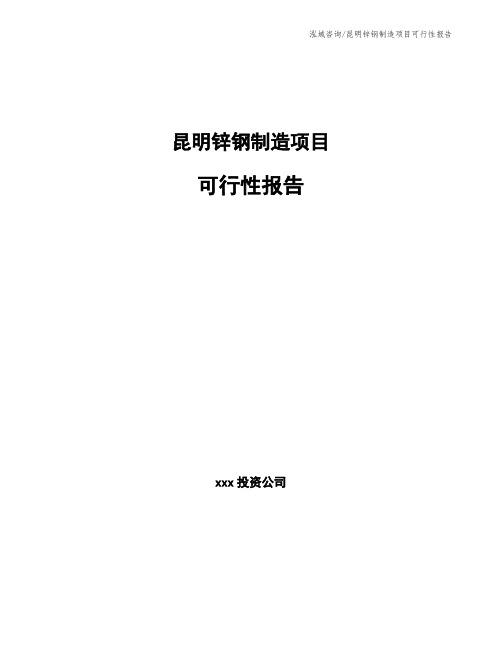 昆明锌钢制造项目可行性报告