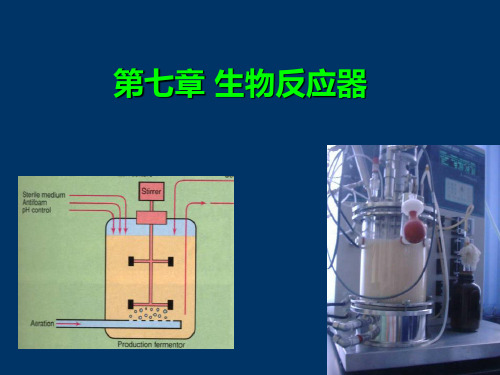 生物化工工艺学--第7章--生物反应器