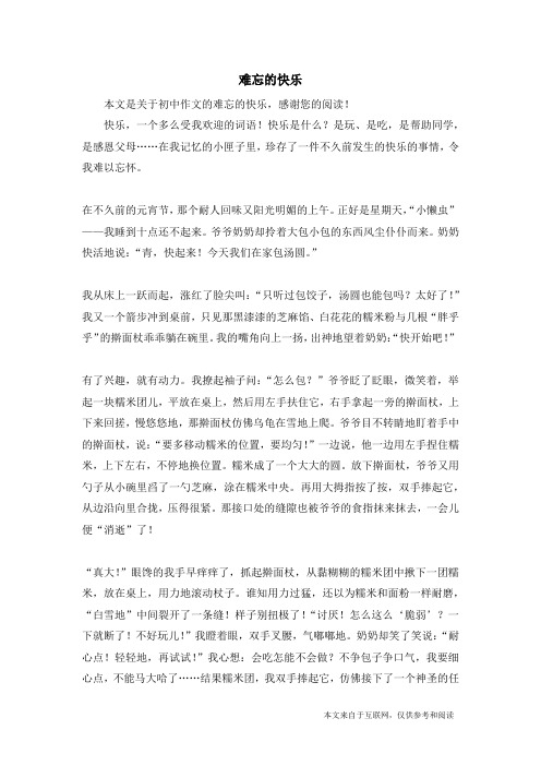 难忘的快乐_初中作文