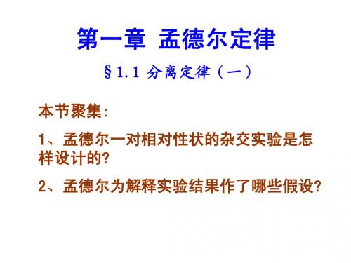 分离定律