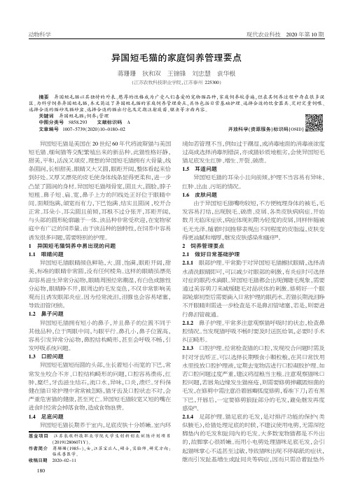 异国短毛猫的家庭饲养管理要点