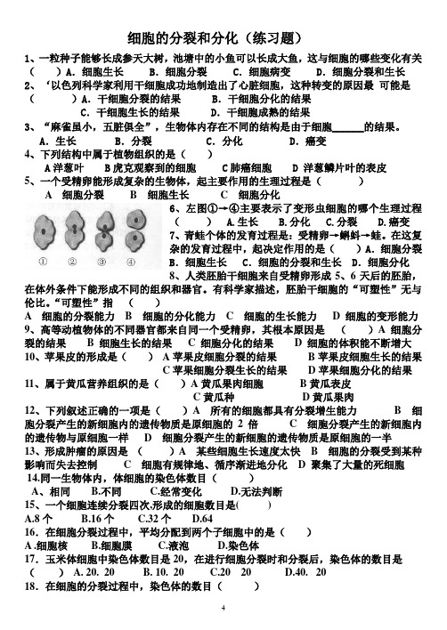 细胞的分裂与分化 (练习题及答案)