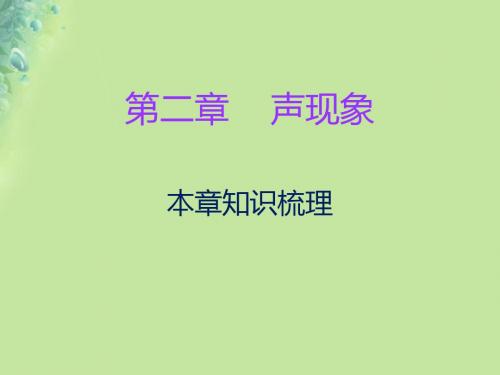 【精品】八年级物理上册期末复习第二章声现象本章知识梳理习题讲义新人教版