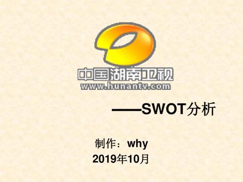 湖南卫视的SWOT分析-PPT精选文档