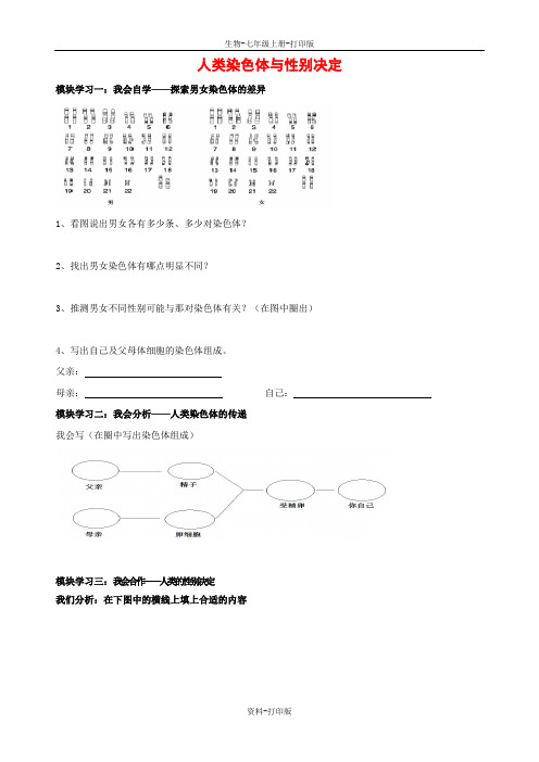 济南版生物-八年级上册-4.4.3 人类染色体与性别决定 精品学案