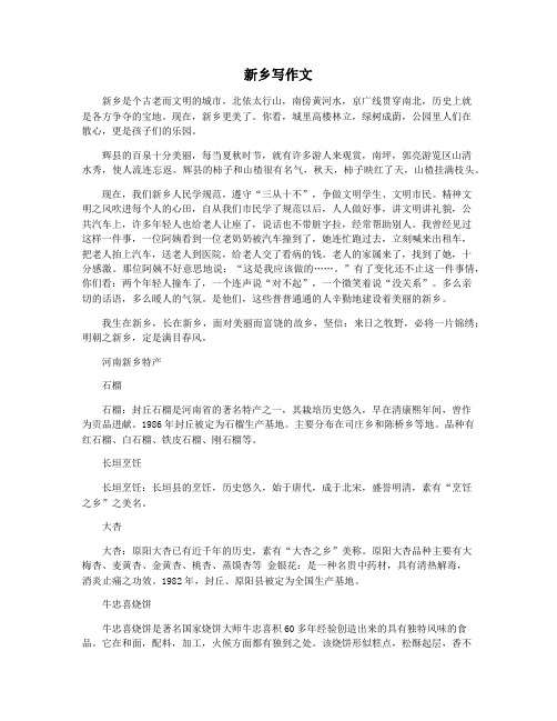 新乡写作文