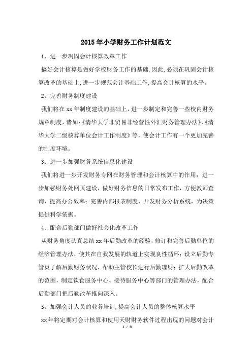2015年小学财务工作计划范文