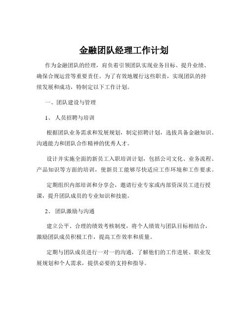 金融团队经理工作计划