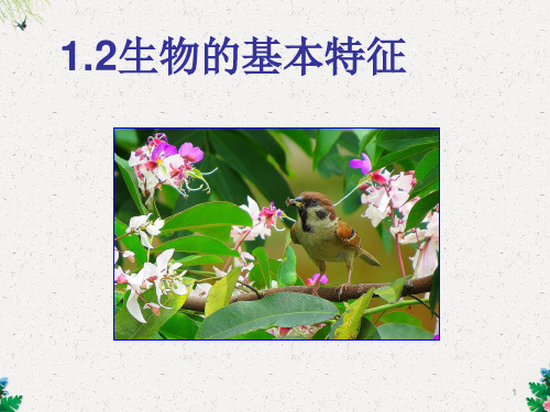 华东师大版科学七年级上册1.2《生物的基本特征》课件