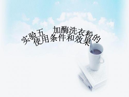 实验5-加酶洗衣粉的使用条件和效果