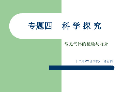 常见气体的检验与除杂