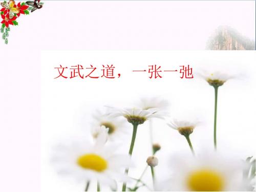 文武之道,一张一弛ppt优秀课件 教科版