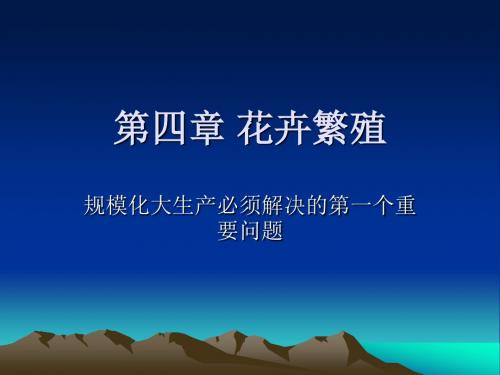 04第四章 花卉繁殖