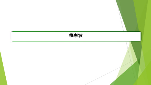 高中物理选修3-5  第十七章  第4节  概率波