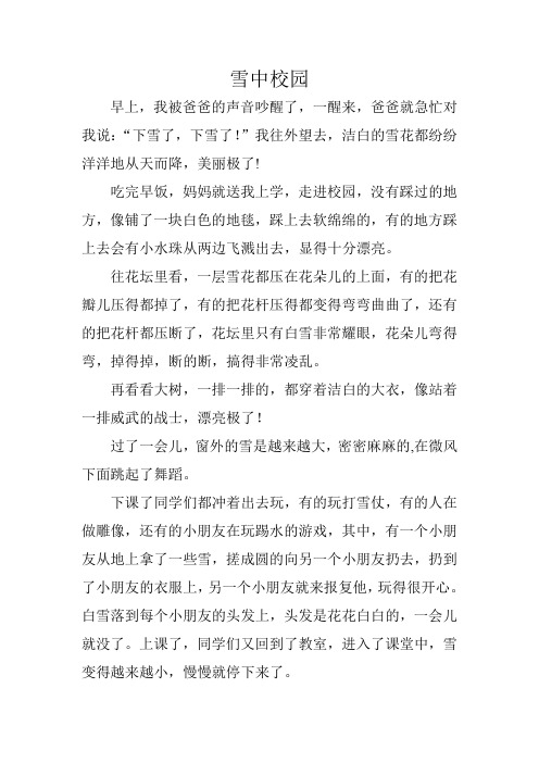 雪中校园 (1)
