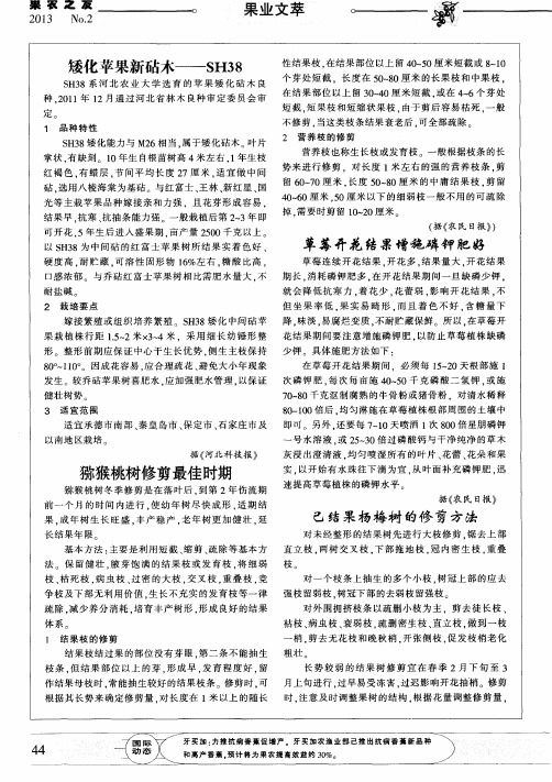 猕猴桃树修剪最佳时期