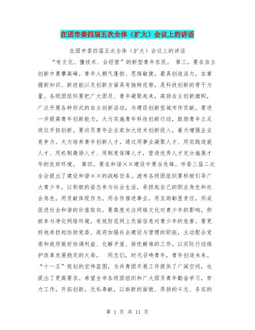 在团市委四届五次全体(扩大)会议上的讲话