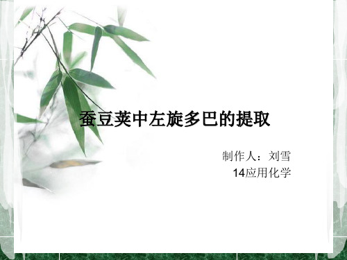 蚕豆荚中左旋多巴的提取汇总.